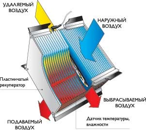 текст при наведении